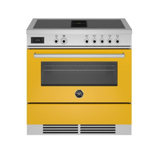 PROCH94I1 Yellow.jpg