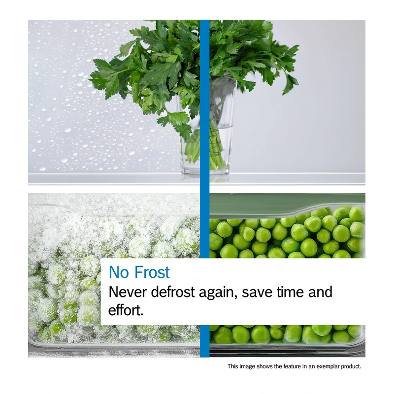 Bosch KGN86VIEAG Series 4 Fridge Freezer