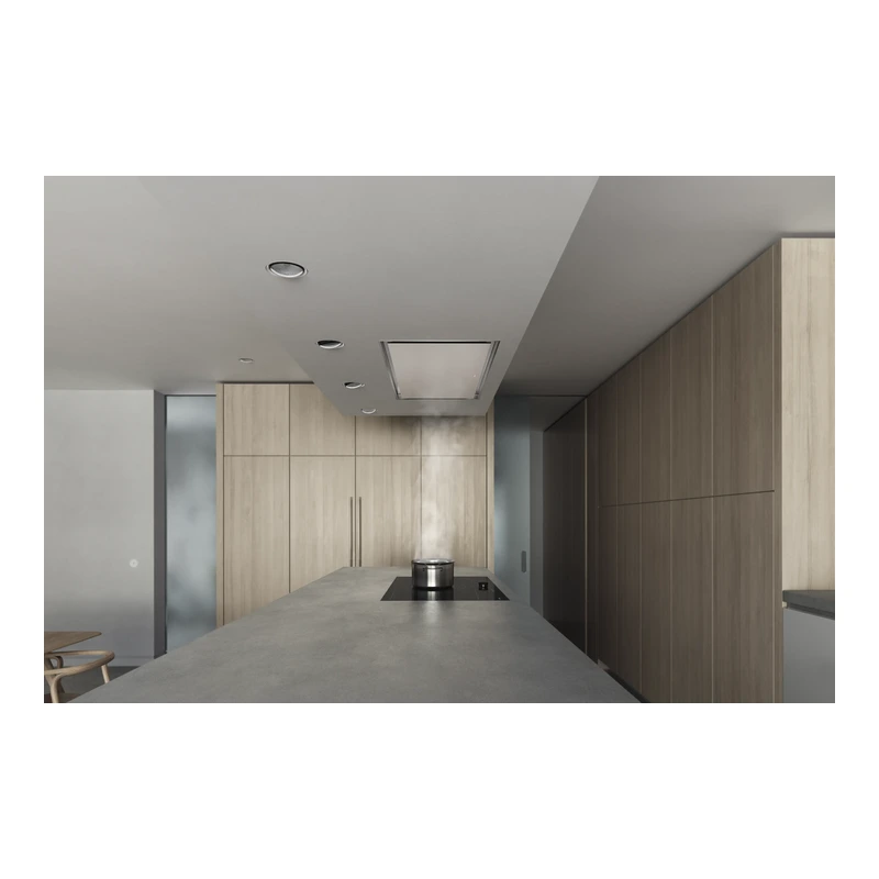 Gaggenau AC250121 200 Series Ceiling Hood