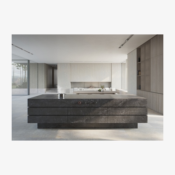 Gaggenau Integrated Surface Induction Module