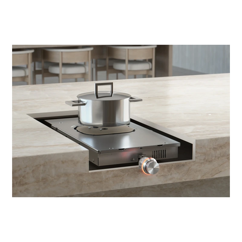 Gaggenau CU428100 Integrated Surface Induction Module