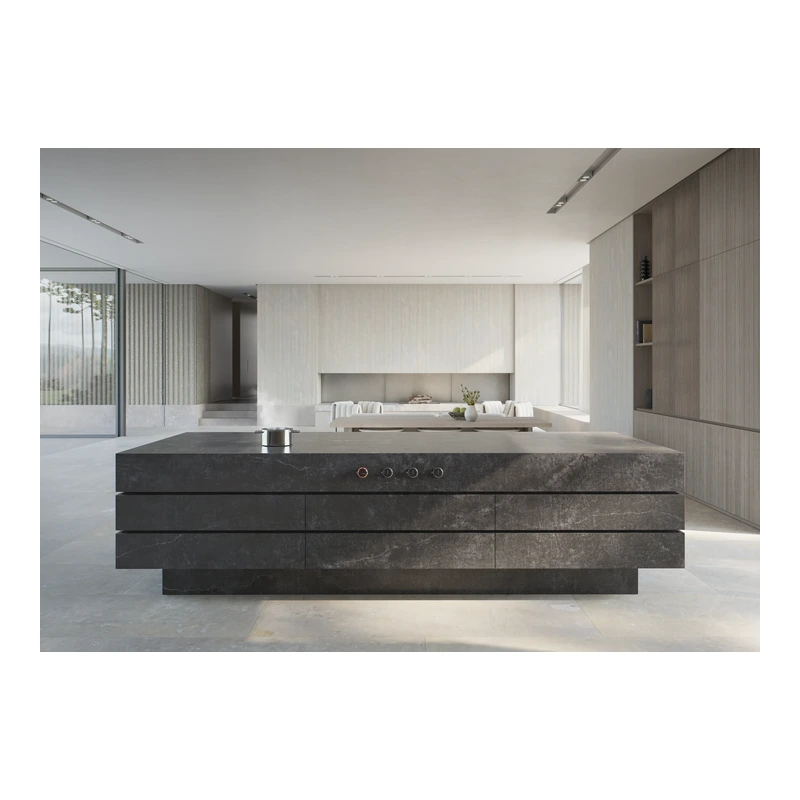 Gaggenau CU428100 Integrated Surface Induction Module