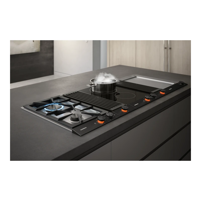 Gaggenau VL200120 200 Series Vario Domino Downdraft