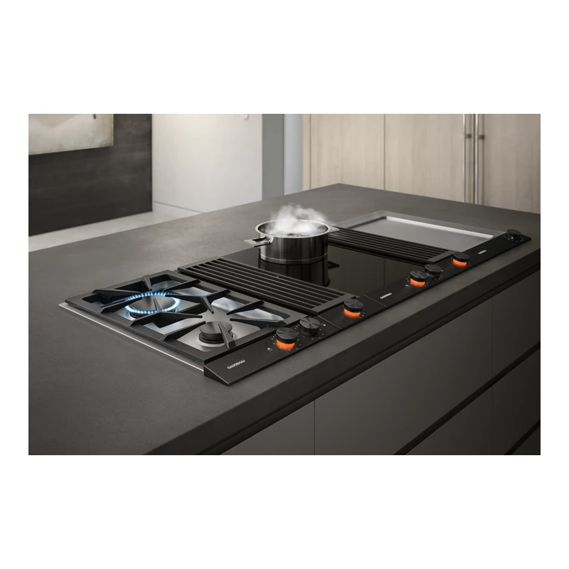 Gaggenau VL200120 200 Series Vario Domino Downdraft
