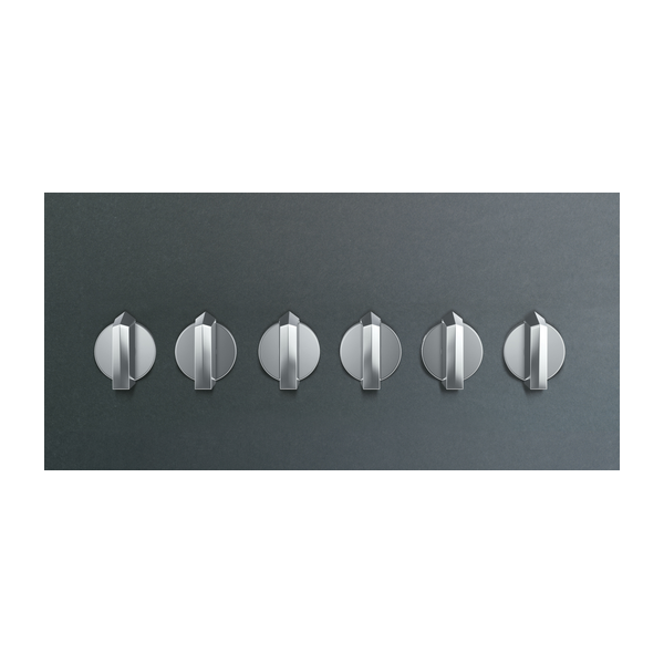 Smeg 6MPF2465X Set of 6 Silver Cucina Controls for the SRV596GH5