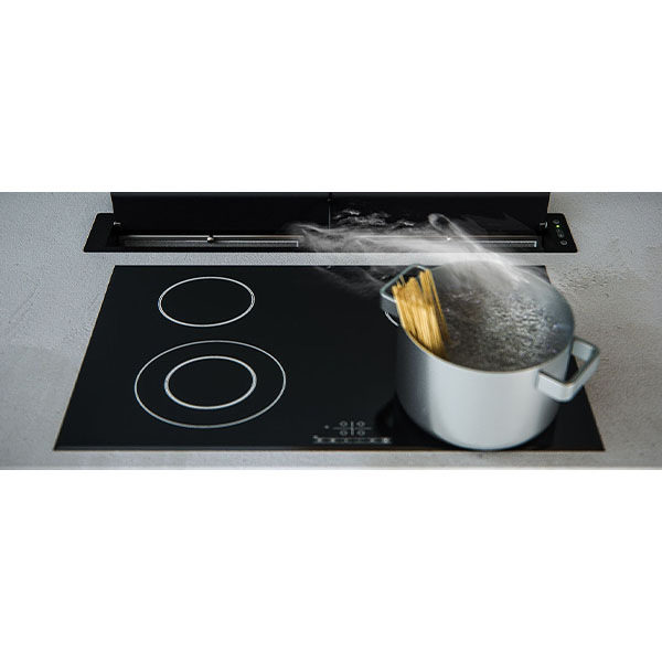 LISSERPLANE845 img.jpg